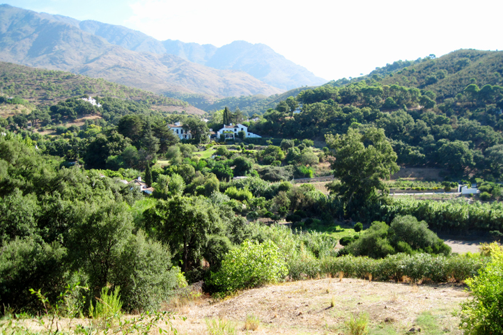 Villa in Acedia Valley